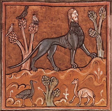 Manticore