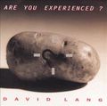 David Lang - Are You Experienced