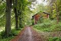11784429-a-house-on-the-right-side-of-a-gravel-path-in-the-woods