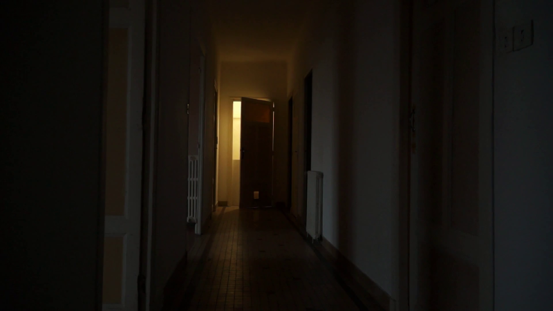 Videoblocks-still-shot-on-dark-creepy-hallway-light-switches-on-door-slowly-opens-light-suddenly-off-old-apartment_b-8wg-wsl_thumbnail-full10