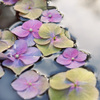 Flowers_in_water